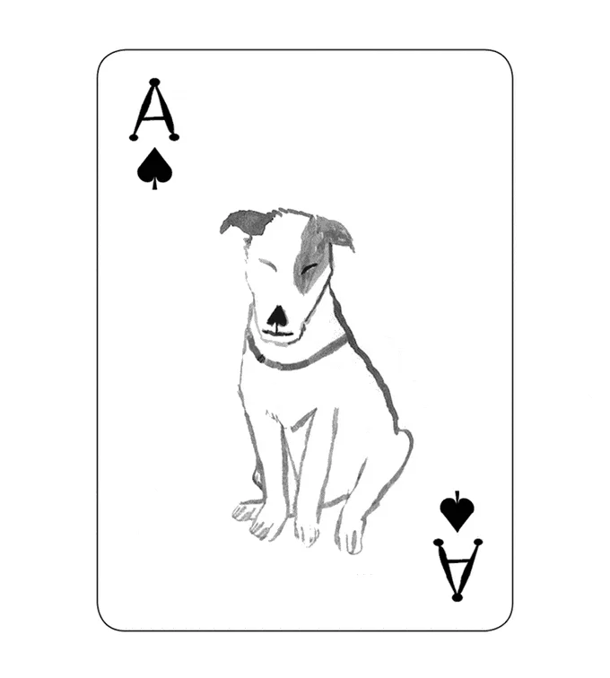 28圈棋牌大厅牛牛游戏